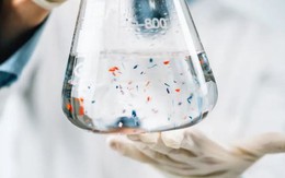 Phát hiện thói quen khiến 90.000 hạt vi nhựa "chui thêm" vào cơ thể mỗi năm