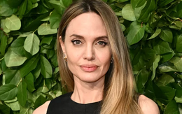 Angelina Jolie bị dồn tới đường cùng