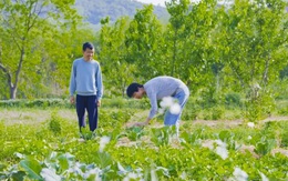 Trưởng phòng nghỉ hưu sớm, mang 7 tỷ đồng về quê xây nhà sau 3 tháng đã khẳng định: Tránh xa bon chen, tôi trẻ ra 10 tuổi, còn thu ‘lãi đậm’