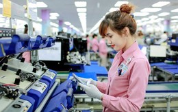 Tỉnh sát vách Hà Nội xuất siêu hơn 2 tỷ USD, bứt phá ngoạn mục trong thương mại toàn cầu