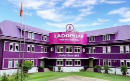 Nữ Tổng giám đốc 1 công ty trên sàn chứng khoán bất ngờ bị sa thải, khởi kiện đòi bồi thường 2 tỷ đồng, toà xử sao?