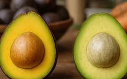 Cách phân biệt bơ sáp với bơ nước