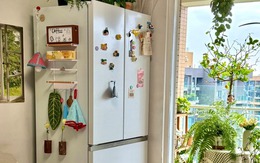 Đừng đặt tủ lạnh ở những vị trí này: Tiền ra như nước, vợ chồng dễ khắc khẩu