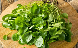 Việt Nam sở hữu loại rau "chống ung thư tốt nhất thế giới", tốt cho sức khỏe tim mạch và xương khớp