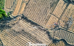 Cả cánh đồng lúa, hoa màu tan hoang, người dân Thái Nguyên bật khóc