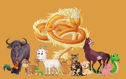 1 tuần nữa 2 con giáp sẽ tạm biệt vận xui, càng cuối năm càng gặp nhiều may mắn, 1 con giáp thận trọng