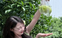 7 loại rau quả chị em nhất định phải ăn nếu muốn tăng sinh collagen, bảo vệ da dưới nắng