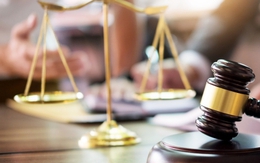 Cụ bà di chúc để toàn bộ tài sản cho tên lừa đảo, con đẻ không được gì