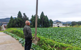 Cầm 8 tỷ về quê dưỡng già, 1 năm sau người đàn ông ôm mặt khóc: “Tôi thực sự hối hận rồi”