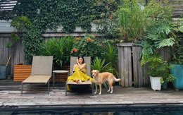 Nữ diễn viên ở biệt thự dát vàng, được lên phóng sự Hàn Quốc về cuộc sống của giới siêu giàu Việt Nam