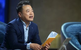 Shark Bình, Nguyễn Hòa Bình bị bắt vì tội gì?