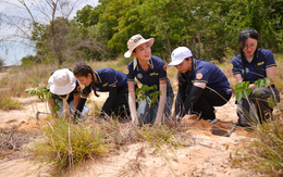 Chung sức trồng 30.000 cây gỗ lớn ứng phó biến đổi khí hậu