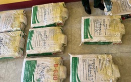 Giám định 500 kg tinh thể nghi ma túy phát hiện ở Quảng Trị