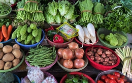 Phát hiện loại rau rẻ tiền là "kẻ thù" của mỡ máu, tiểu đường: Việt Nam rất sẵn