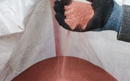 Phát hiện "mỏ kho báu" hàng triệu tấn nằm rải rác khắp châu Âu, ai cũng nhìn thấy nhưng đều bỏ qua