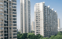 Kinh nghiệm 15 năm sống chung cư: Tôi nhận ra nên tự mua nội thất hay thuê thiết kế, rất nhiều người chọn sai và phải nuối tiếc