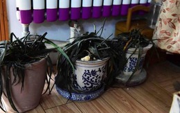 5 dấu hiệu trong nhà cho thấy: Âm khí nặng nề, vận xui đeo bám không buông