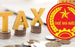 Hộ kinh doanh chú ý: Đây là mức thuế áp dụng từ ngày 1/1/2026