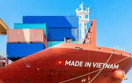 Cường quốc châu Âu muốn cùng VN làm 1 việc để chiếm lĩnh thị trường hơn 200 tỷ USD, nước ta top đầu TG