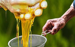 Đặc sản đắt nhất thế giới 40 triệu/kg, Việt Nam có loại thiên nhiên nguyên bản, thơm ngọt chẳng kém cạnh