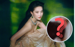 Sao đây có thể là Lưu Diệc Phi được?