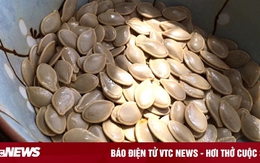 Loại hạt giá rẻ chứa dưỡng chất hơn cả quả óc chó thường bị bỏ quên