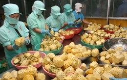 Loại quả quen thuộc của Việt Nam “gây sốt”: Có mặt ở 100 nước, doanh thu xuất khẩu 9 tháng tăng 114%