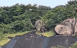 Bất ngờ về 4 con vật trắng như tuyết trên núi Ma Thiên Lãnh