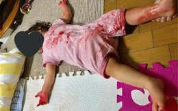 Đi chợ 30 phút, người mẹ choáng váng khi mở cửa thấy con 3 tuổi nằm bất động giữa nhà