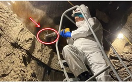 Đem sinh vật cổ đại trong hầm quân sự sâu 100m dưới đất về, chuyên gia hoang mang: 'Chúng đang sống lại'