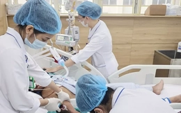 Bị rắn hổ mang cắn, nam bệnh nhân 34 tuổi tử vong vì bỏ qua ‘giờ vàng’ cấp cứu