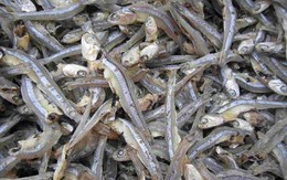 Loại cá được mệnh danh là "thức ăn cho cơm nhà nghèo", giá chỉ 10.000đ/kg, mình nhỏ nhưng cực nhiều chất