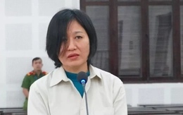 Đấu giá 9 ô tô khách của nữ đại gia trốn thuế hàng chục tỷ đồng ở Đà Nẵng