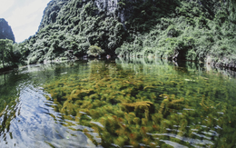 Việt Nam có nơi lọt danh sách 1% điểm đến tốt nhất thế giới