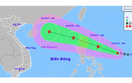 Tin mới về áp thấp nhiệt đới gần Biển Đông
