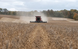 Trung Quốc quay lưng dừng nhập khẩu một mặt hàng then chốt của Mỹ, Tổng thống Donald Trump lên tiếng: 'Đây sẽ là chủ đề nóng trong cuộc gặp với ông Tập Cận Bình'