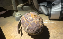 Bé trai 3 tuổi phát hiện ra "điều khủng khiếp" trong sân nhà khiến cả thị trấn căng thẳng