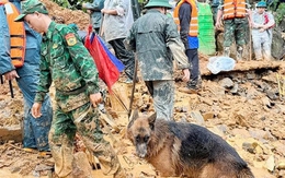 Huy động hơn 200 người và chó nghiệp vụ tìm 4 nạn nhân sạt lở ở Tuyên Quang