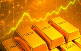 Chênh lệch khủng với mốc 1000 tỷ: Chỉ những ngân hàng này mới được 'làm vàng'