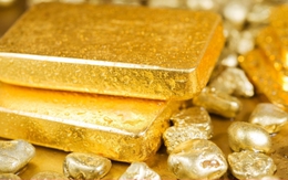 Đề nghị truy tố Chủ tịch Công ty Vàng Việt Nam Trần Như My