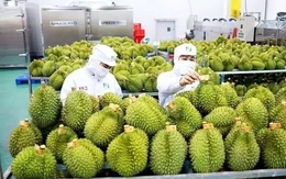 Trung Quốc ra quy định mới về nhập khẩu nông sản, doanh nghiệp Việt cần chú ý