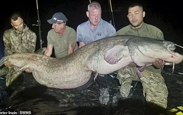 Ngư dân Anh kéo lên 'quái vật sông' dài gần 3 mét