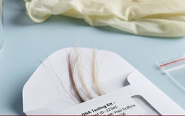 Ba sợi tóc và cuộc giám định ADN nối lại tình cha con sau 30 năm thất lạc