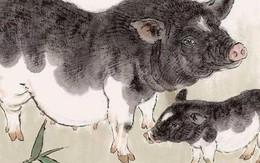 4 con giáp đầu năm vất vả, cuối năm đổi vận, tiền đầy túi, tài lộc không đếm xuể từ tháng 9 Âm lịch