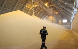 Campuchia vừa mua hơn 500.000 tấn hàng quan trọng từ Việt Nam: Được mệnh danh ‘cứu tinh’ của nông sản láng giềng, nước ta bỏ túi hơn 700 triệu USD