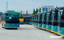 TP Hồ Chí Minh: Xem xét chuyển đổi công năng gần 100 xe buýt CNG đang "đắp chiếu"