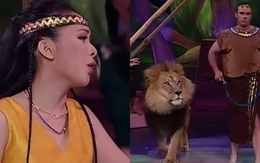 Nữ ca sĩ đem sư tử lên sân khấu: Khán giả bỏ chạy, đồng nghiệp khó chịu