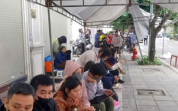 Nhà ở xã hội Đông Anh: Chủ đầu tư dựng nhà bạt cho dân xếp hàng nộp hồ sơ