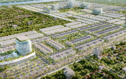 Xây dựng Ngân Thuận nợ gần 635 tỷ đồng tiền thuế, ông chủ đứng sau là ai?