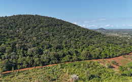 Phát hiện kho báu đất hiếm trị giá 62,4 tỷ USD nằm la liệt dưới cánh rừng 157 hecta, Mỹ và Trung Quốc đồng loạt lên dây cót, chạy đua giành phần thắng